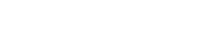 Vitalis Navitas